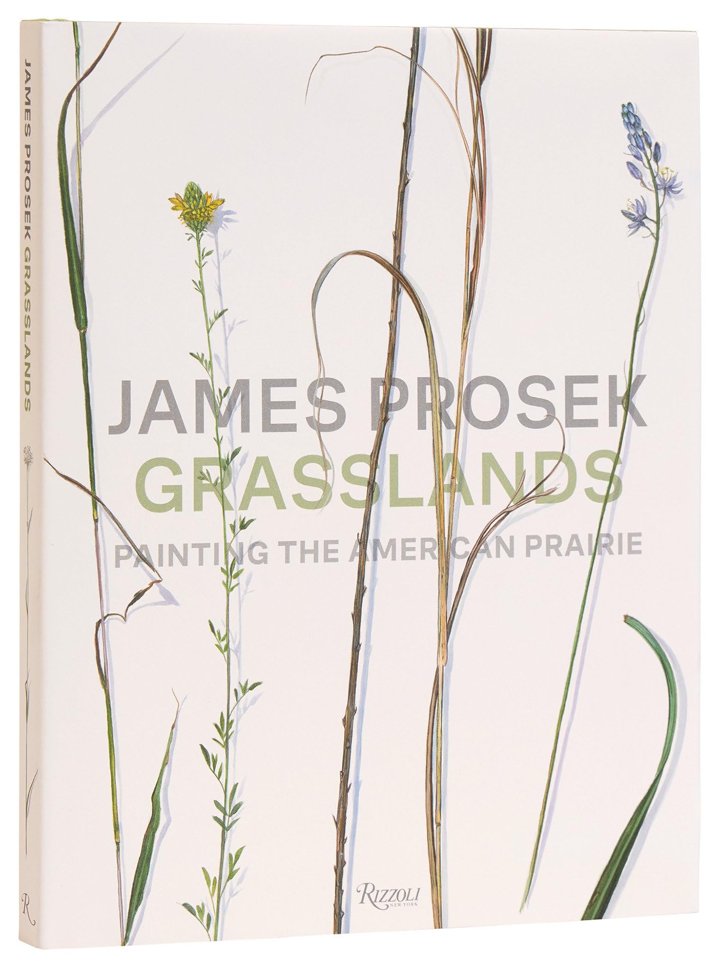 James Prosek Grasslands: Painting the American Prairie - Premium Art Book for Nature Lovers, Home Decor & Gift Ideas