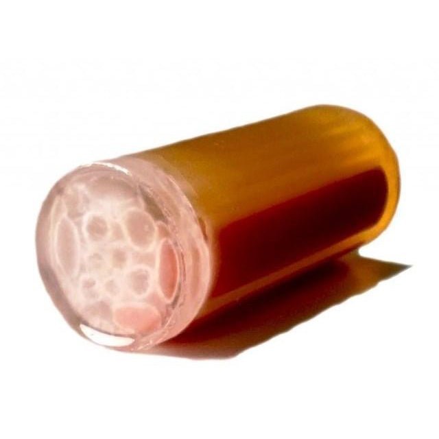 Cylindrical Rat Phantom for X-Ray, CT & Ultrasound Imaging - Ideal for Medical Research, Radiology Training & Diagnostic Equipment Testing