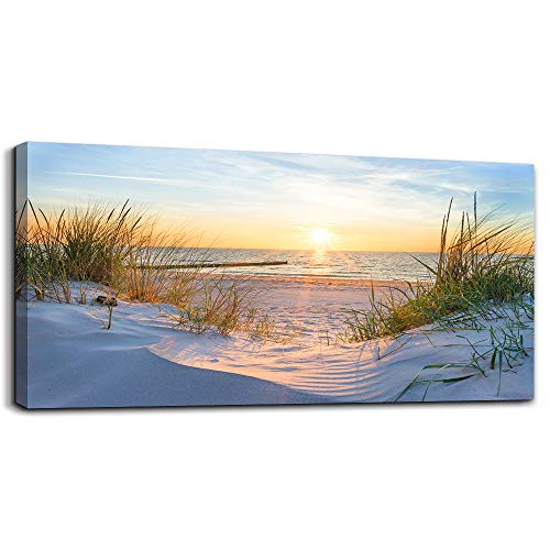 Blue Sun Beach Grass Ocean Landscape