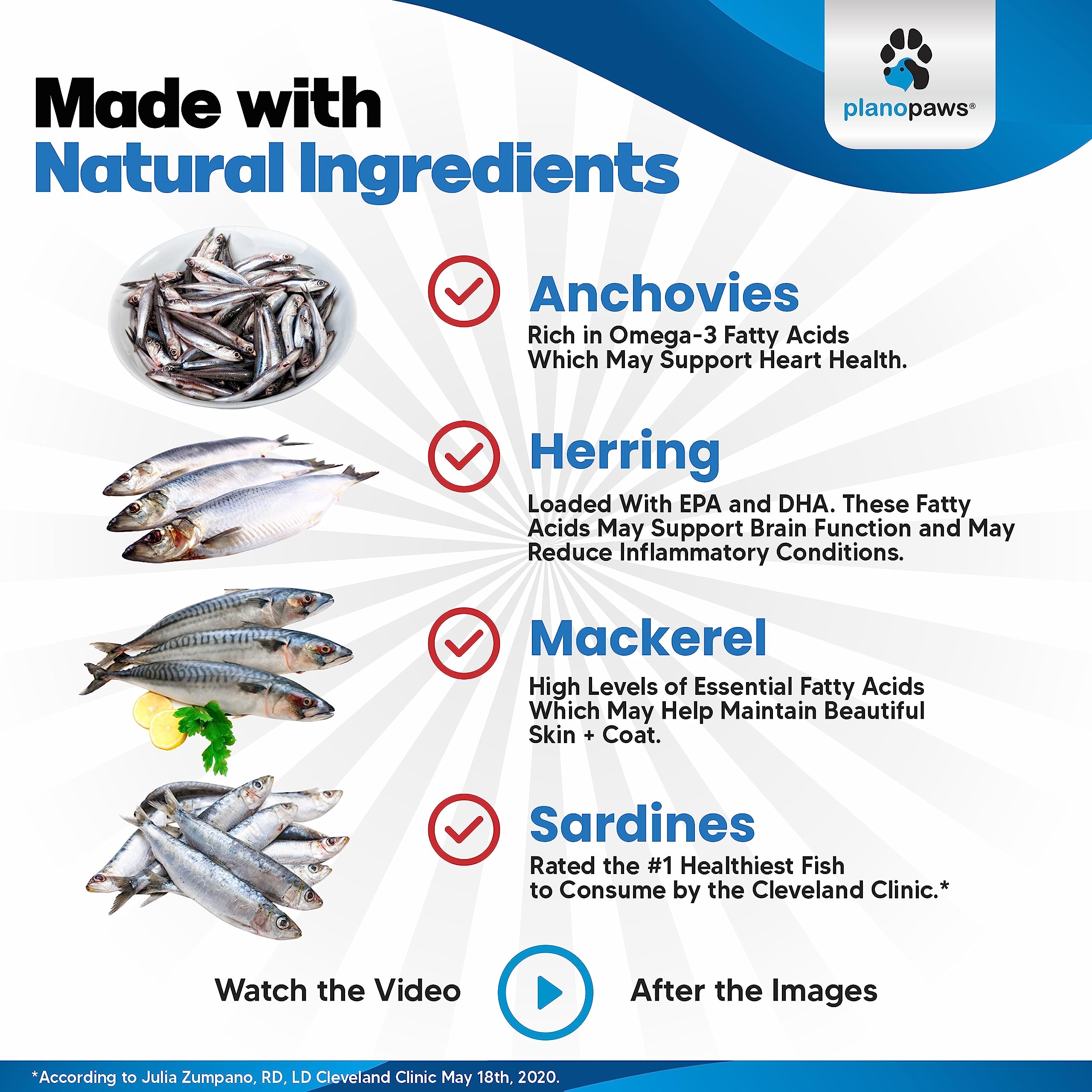 Premium Omega 3 Fish Oil for Dogs - Advanced Dog Supplement for Healthy Skin & Coat - Reduces Shedding & Itching - Supports Joint, Brain & Heart Health - Better Than Salmon Oil - Liquid Fish Oil for Daily Wellness - Perfect for Active Dogs & Senior Pets