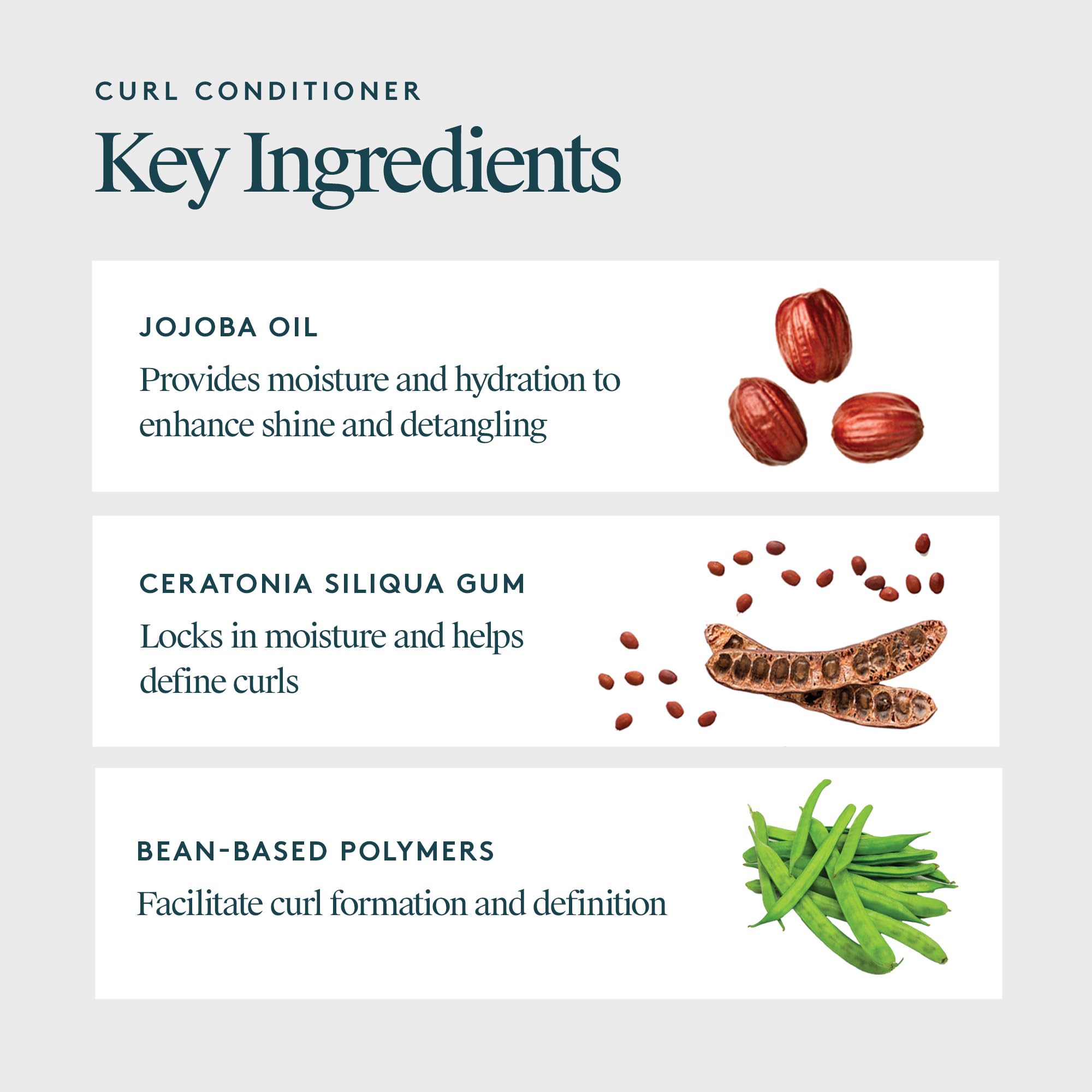 VIRTUE Curl Conditioner with Jojoba Oil - Sulfate Free Hydrating Hair Treatment for Curly Hair - Frizz Control, Nourishes & Repairs - Color Safe - Perfect for Daily Curly Hair Care & Frizz Management