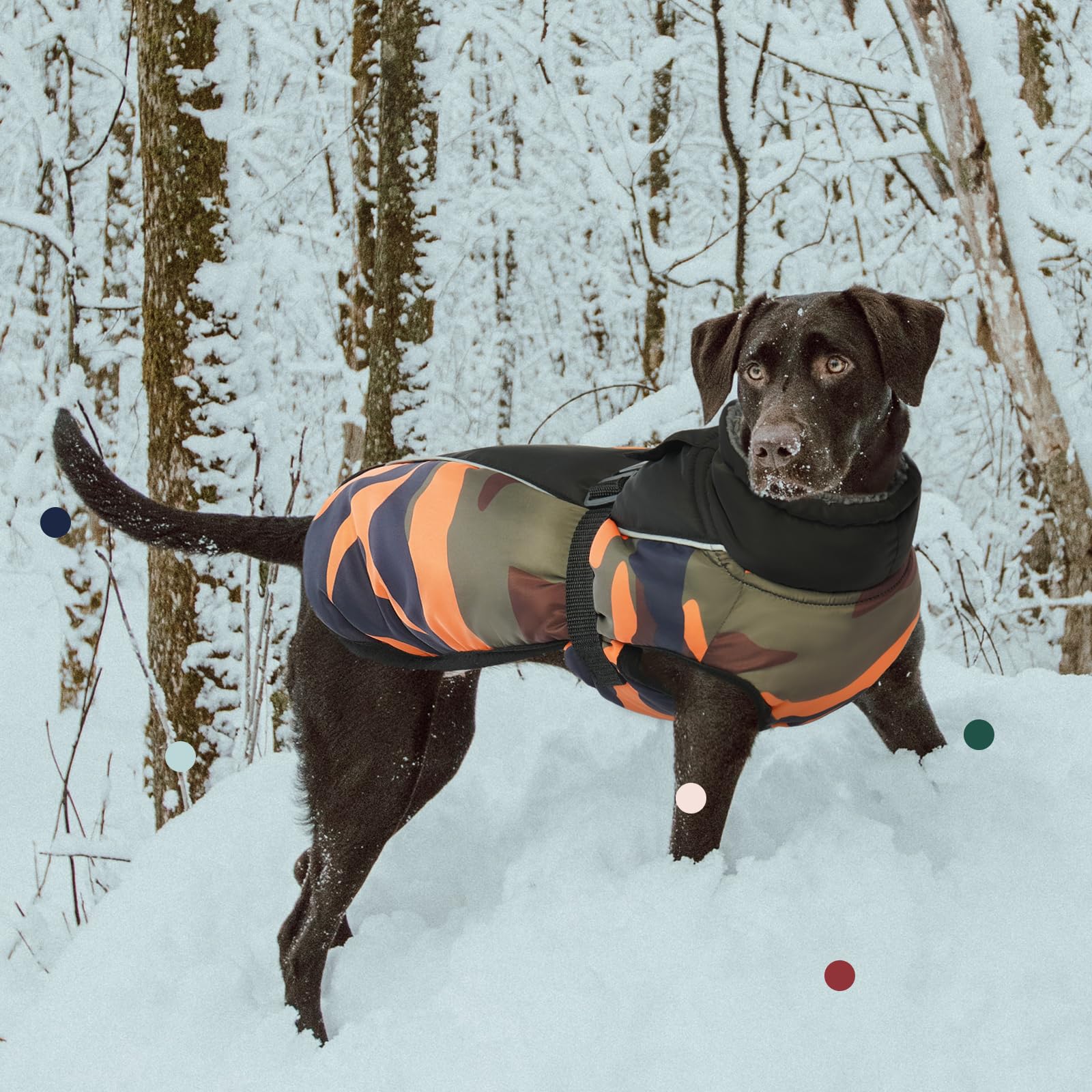 IECOii Reflective Adjustable Fleece Dog Jacket - Extra Warm Winter Coat with Buckle & Turtleneck for Small, Medium, Large Dogs - Cold Weather Protection for Outdoor Walks, Hiking & Winter Adventures