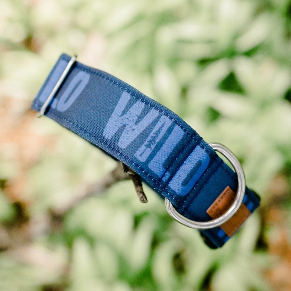 Premium Blueberry Wild Dog Collar - Adjustable Nylon Pet Collar with D-Ring for Leash | Durable & Comfortable for Small, Medium & Large Dogs | Perfect for Daily Walks, Training & Outdoor Adventures