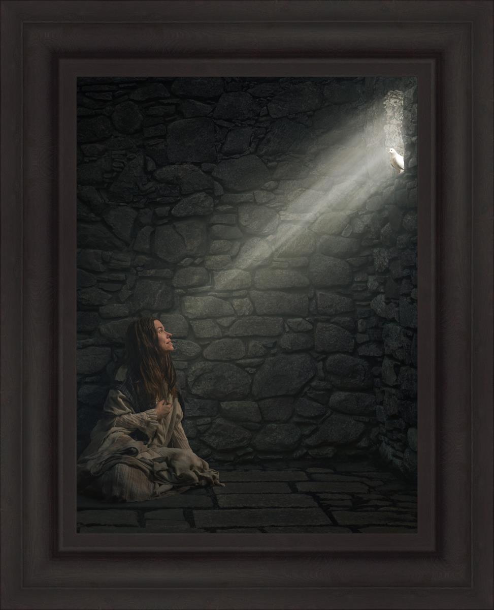 A Captive's Hope - Inspirational Book for Overcoming Adversity | Perfect for Self-Help, Motivation & Personal Growth
