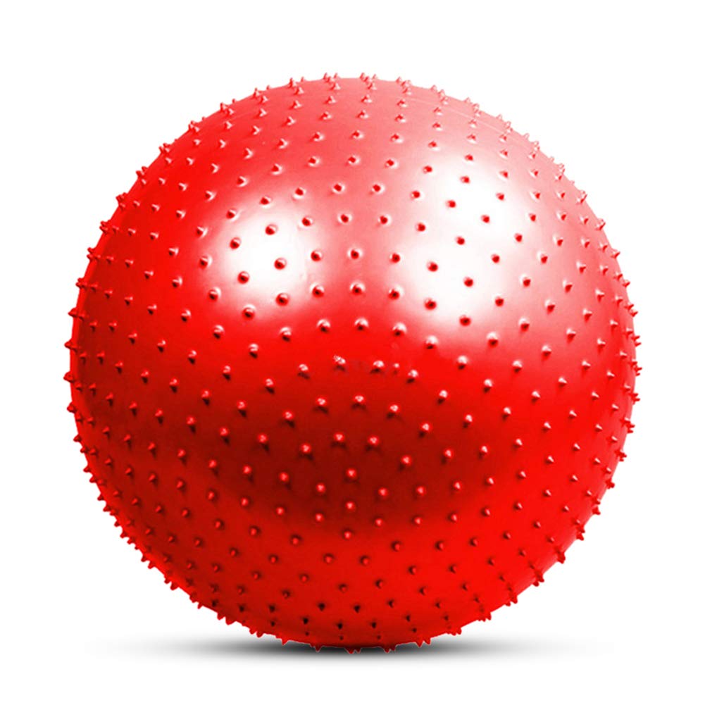 SONGBIRDTH 55cm Inflatable Yoga Ball for Pilates, Workout & Therapy - Home Gym & Fitness Training