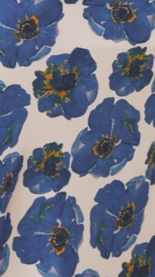 Iva Midi Dress - Blue Floral Print Summer Dress for Women | Casual & Party Wear | Perfect for Beach, Wedding & Date Night