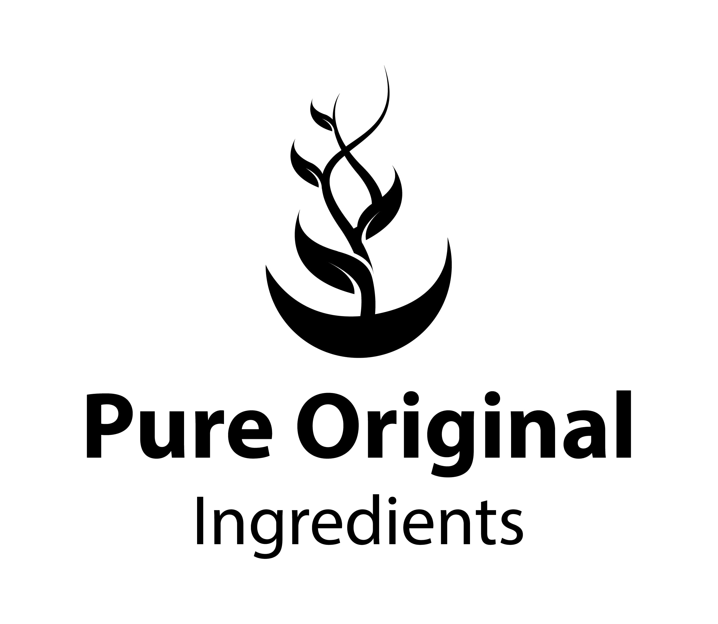 PURE ORIGINAL INGREDIENTS Organic Brown Rice Protein Powder (1 lb) - Vegan, Gluten Free, Non-GMO, Sprouted Brown Rice for Smoothies, Shakes & Post-Workout Recovery - Perfect for Athletes & Health Enthusiasts