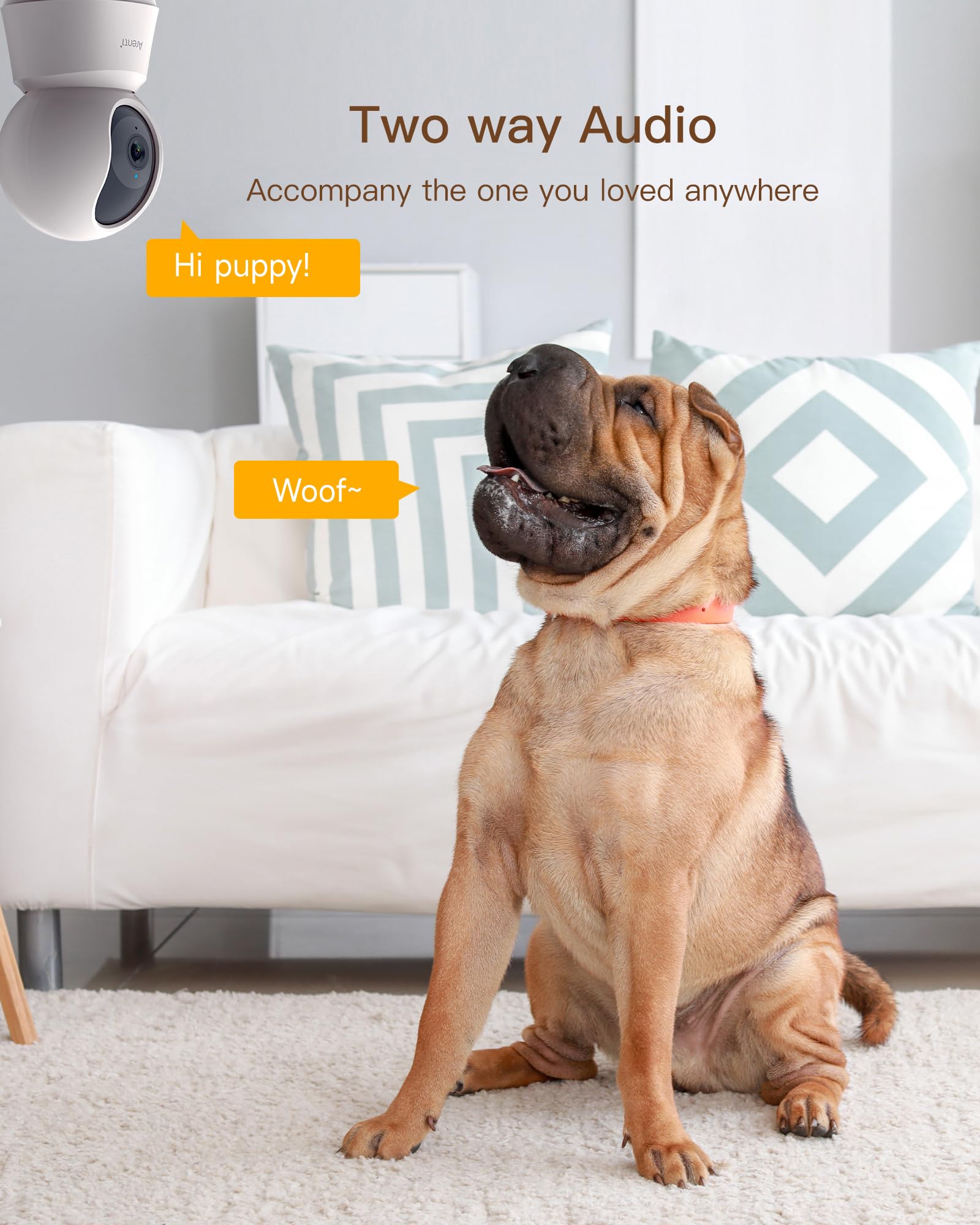 ARENTI 360° View 5MP Pet Camera 2 Pack - 5G/2.4G Wi-Fi 6 Baby Monitor & Indoor Security Camera with Motion Tracking, Sound Detection, Night Vision & Two-Way Audio - Works with Alexa (P2F 2PC) - Perfect for Pet Monitoring, Baby Care & Home Security