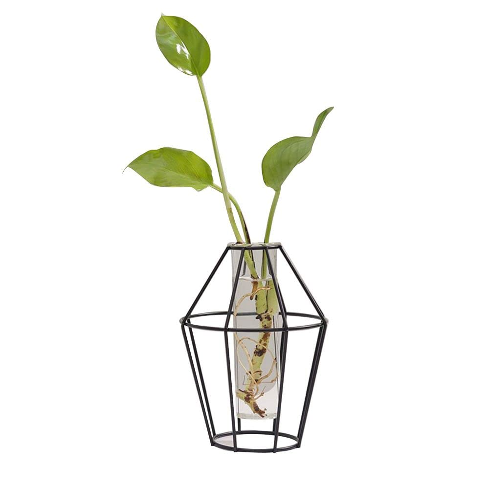 Nordic Style Glass Vase for Hydroponic Plants & Flower Arrangement - Modern Home & Office Decor Tabletop Ornament (Style 3) | Perfect for Living Room, Bedroom, Dining Table & Workspace Decor