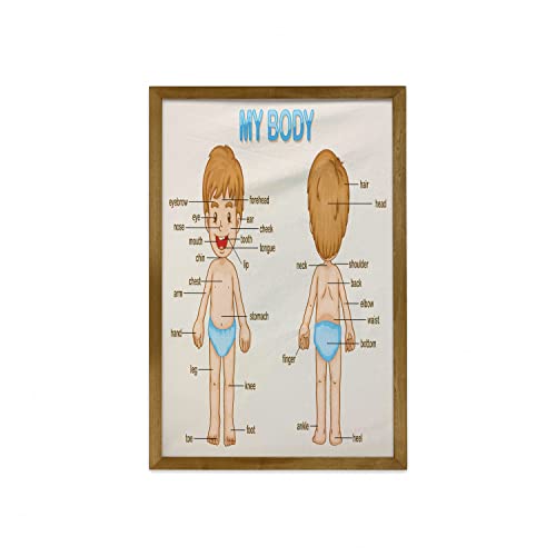 Pale Blue Pale Brown