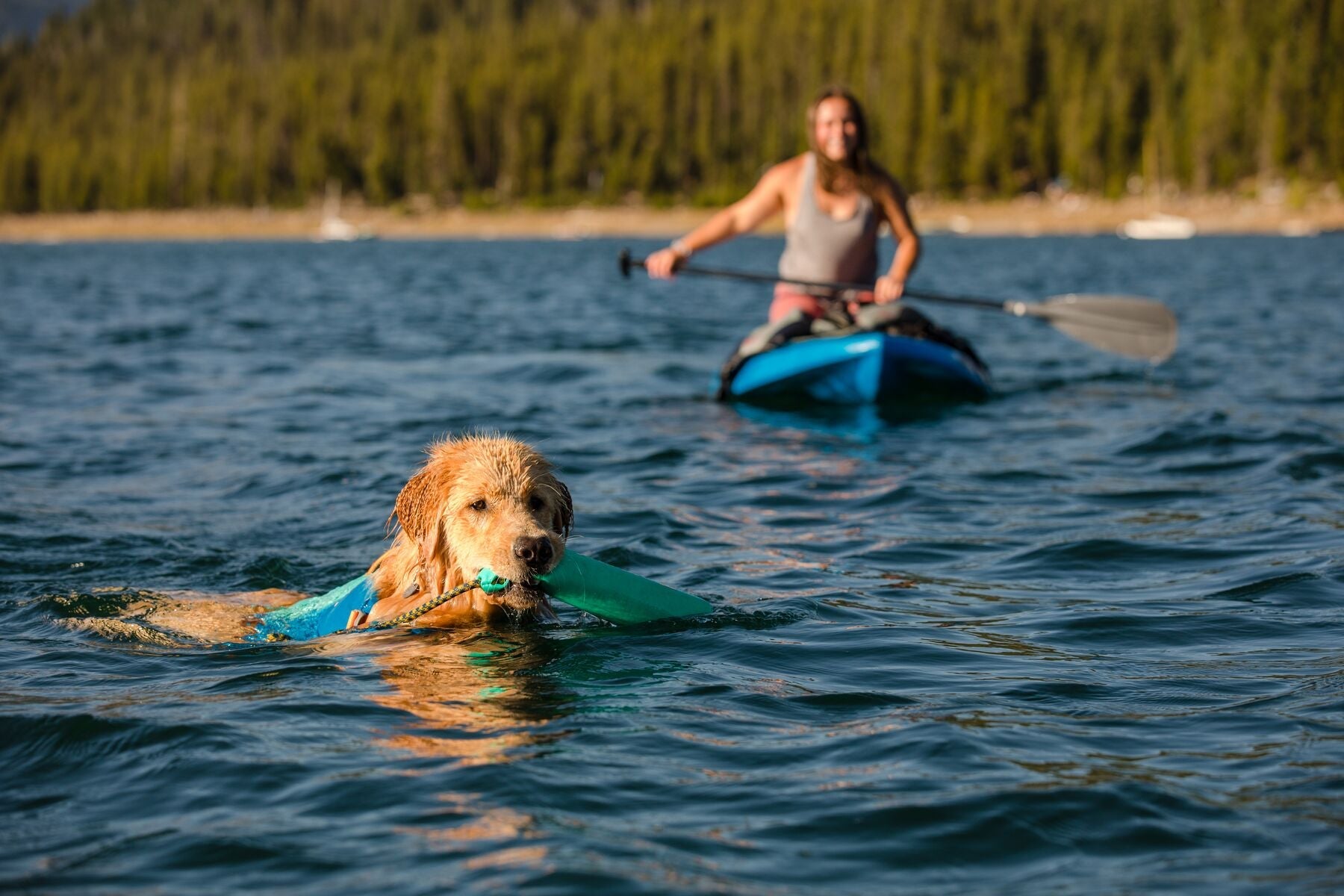 Lunker® Foam Water Toy for Dogs - Purple Orchid | Ruffwear® - Perfect for Pool, Beach & Outdoor Play