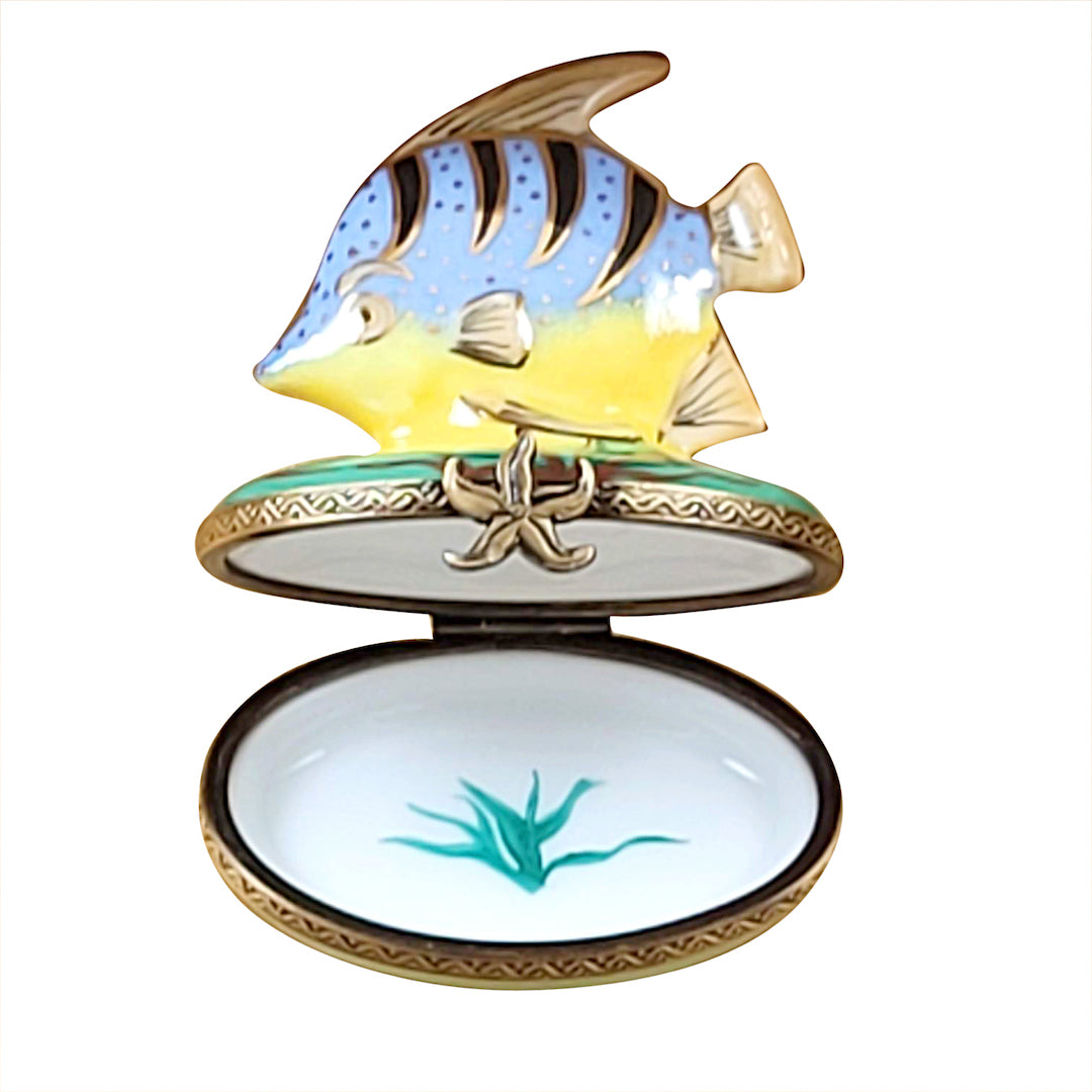 Exquisite Tropical Fish Limoges Porcelain Box - Hand-Painted Collectible Trinket Jewelry Storage - Perfect for Home Décor & Gift Giving