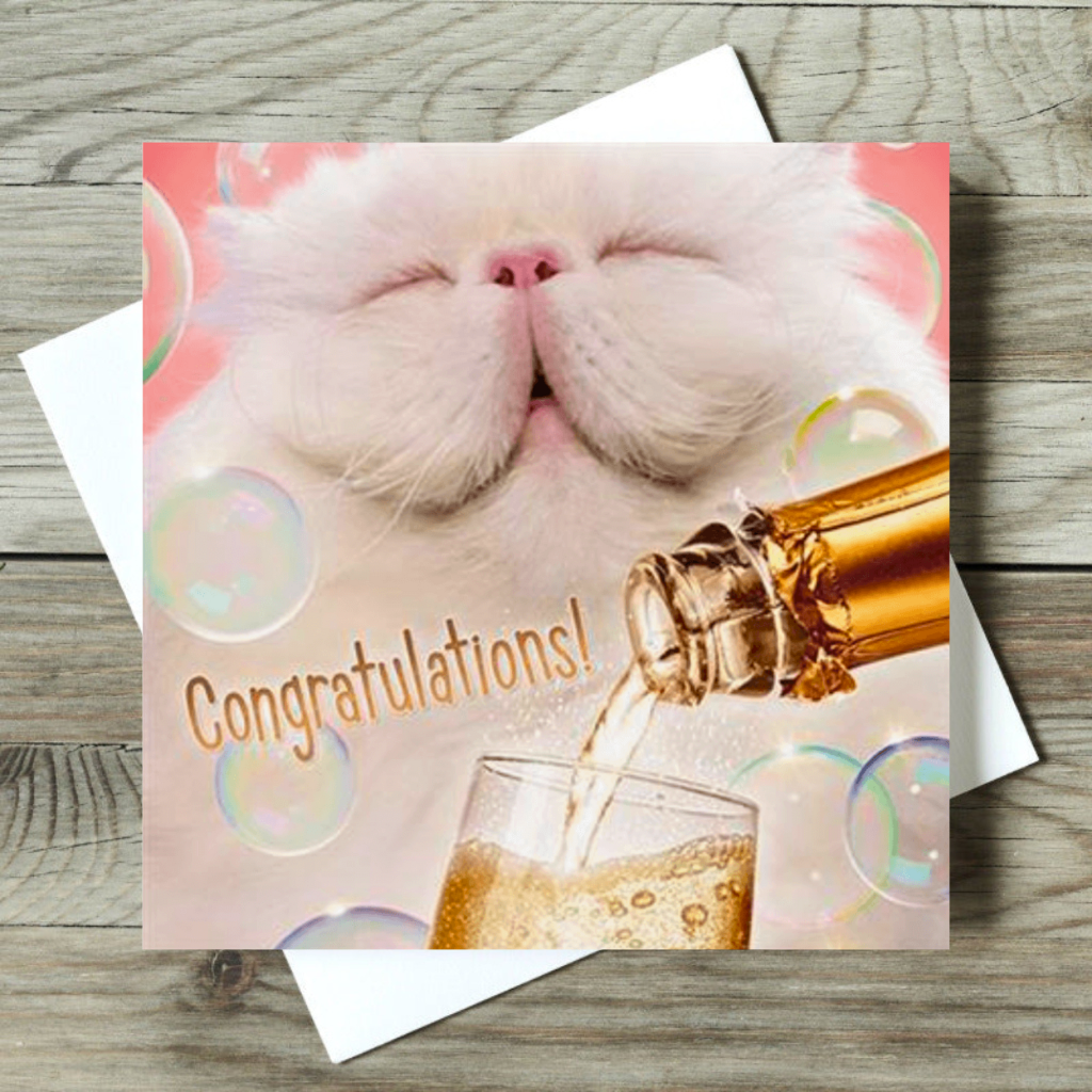 White Cat Greeting Card - Cute Feline Congratulations Card for Birthdays, Graduation & Special Occasions | Perfect Gift for Cat Lovers