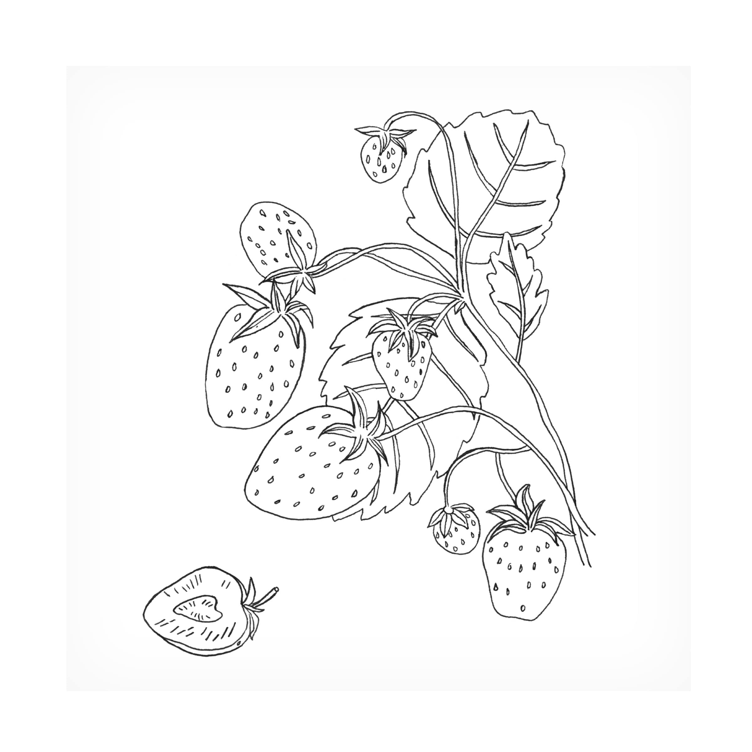 Wild Strawberries I Canvas Art by Melissa Wang - Premium Trademark Fine Art Print for Home & Office Decor - Perfect for Living Room, Bedroom, or Gift