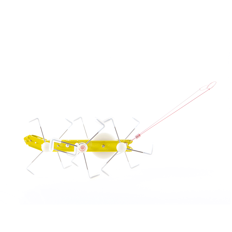 Fun Wind Up Toys for Kids - Colorful Jumping Frog Mechanical Toy - Great for Birthday Gifts, Party Favors & Stress Relief