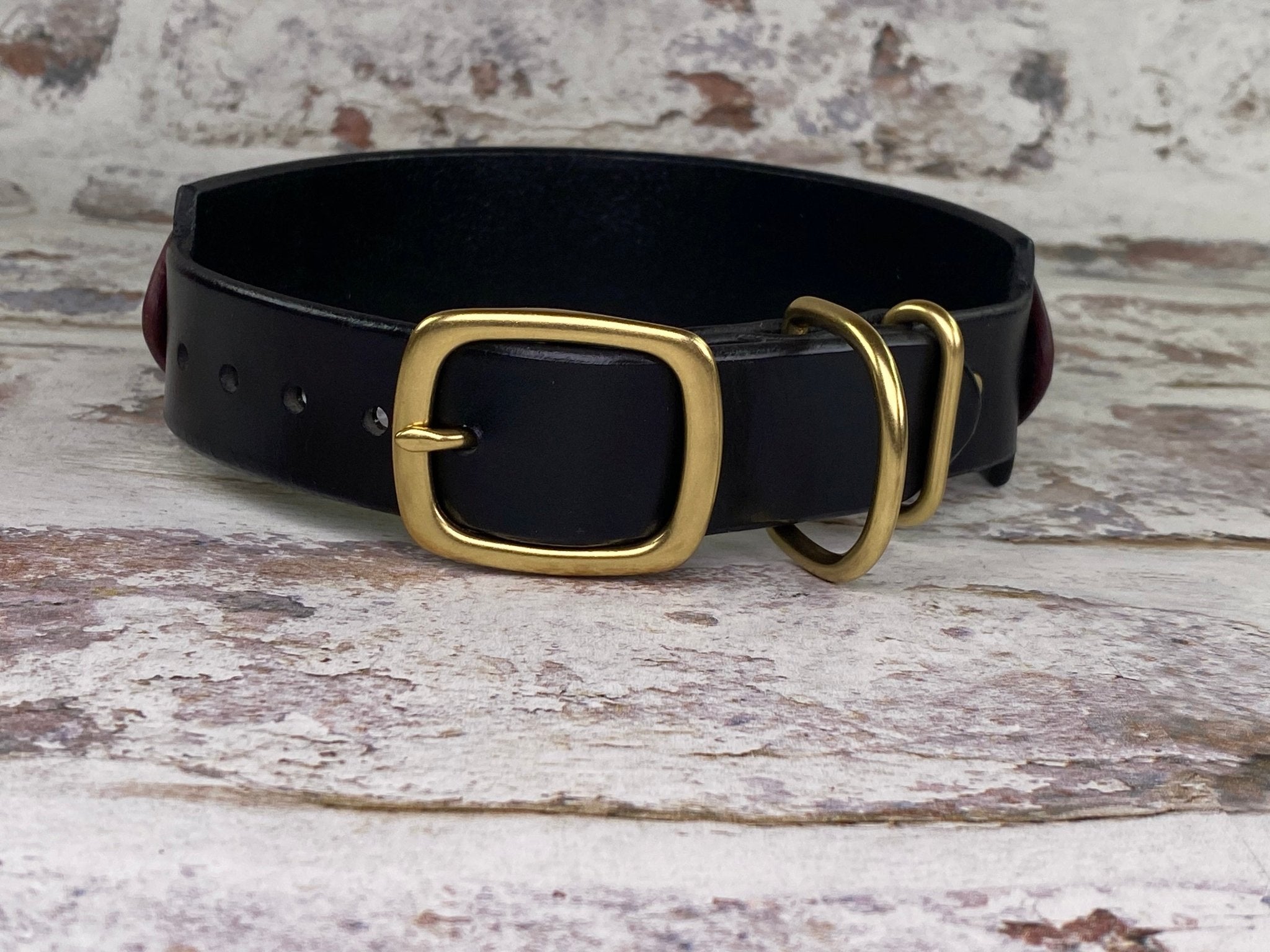 Premium ORIEN LATIGO Leather Dog Collar - 1.5
