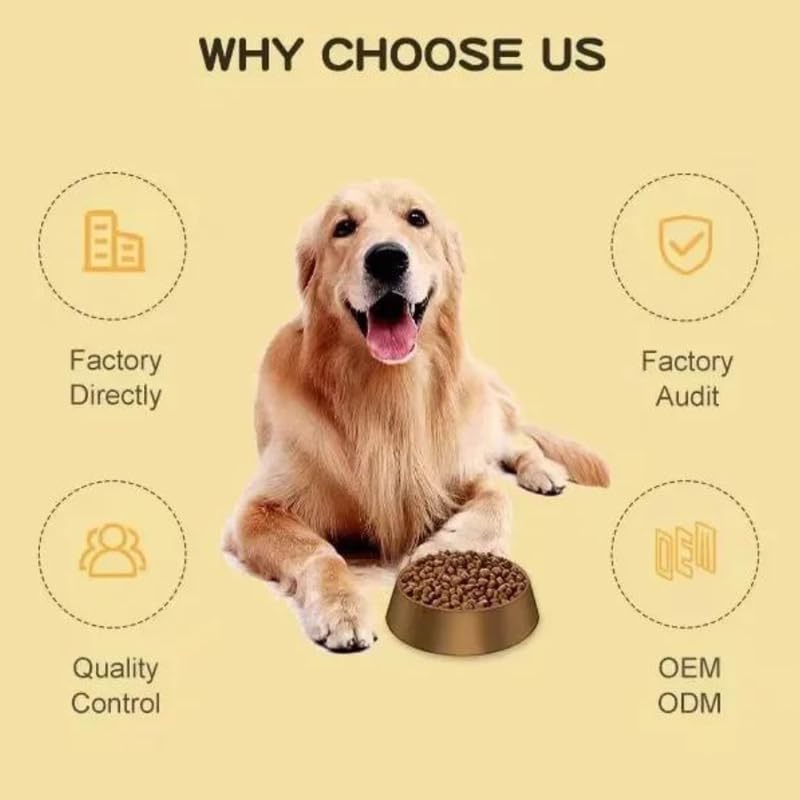 PSK PET MART Slow Feeder Dog Bowl - Anti-Choking, Anti-Slip Pet Food Dish with Fun Jungle & Fruit Designs - Perfect for Puppies, Small & Large Dogs During Mealtime or Training Sessions
