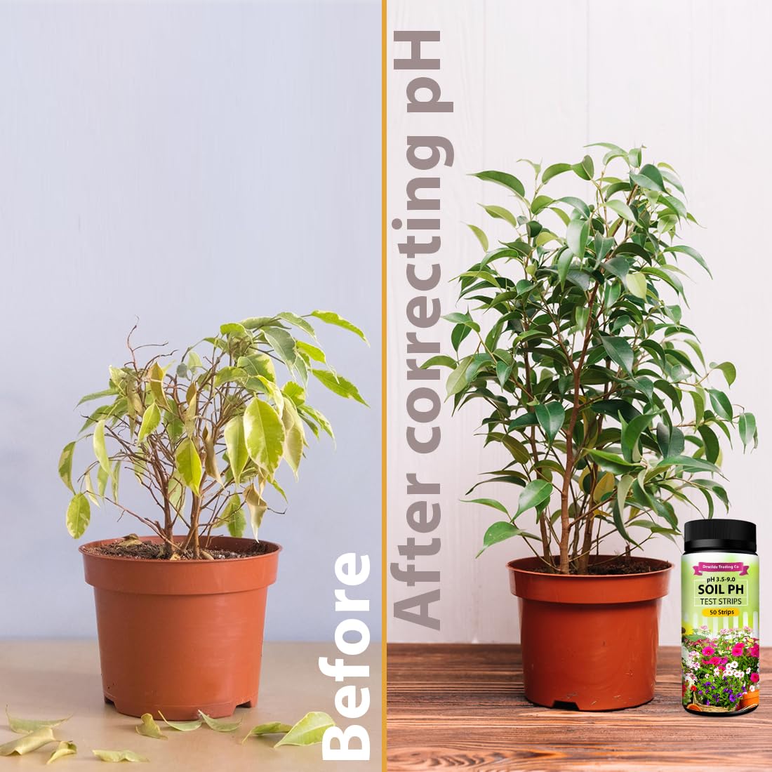 Soil pH Test Strips Kit - 100 Strips (3.5-9 pH Range) for Garden, Lawn, Grass, Vegetables, Compost & Indoor/Outdoor Plants | Accurate Soil Testing for Home Gardening, Yard Care & Plant Health