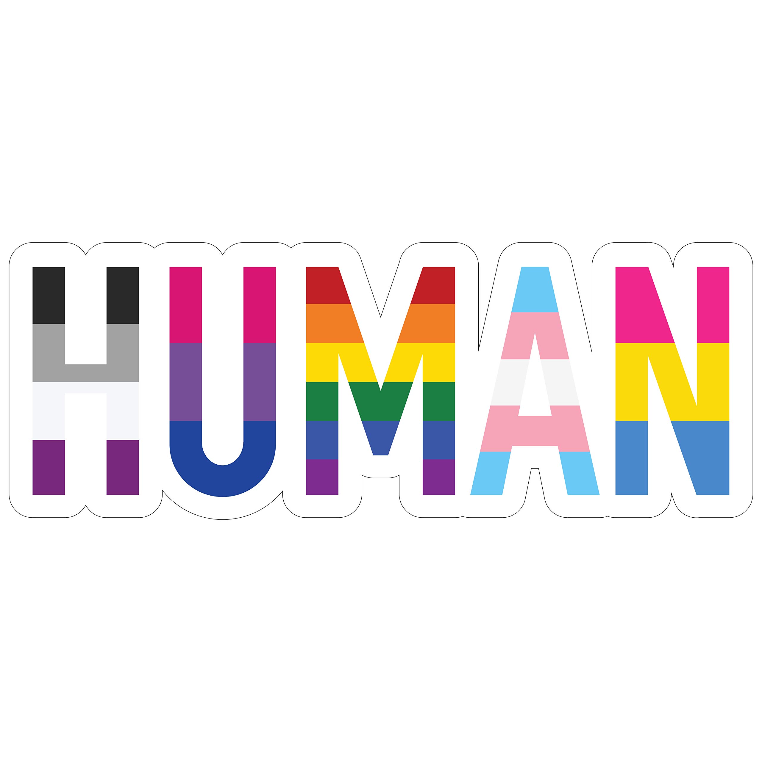 LGBTQ+ Pride Stickers - Rainbow Gay Lesbian Bisexual Pansexual Transgender Flag Vinyl Decals for Cars, Trucks, Bumpers, Laptops & Water Bottles | 6