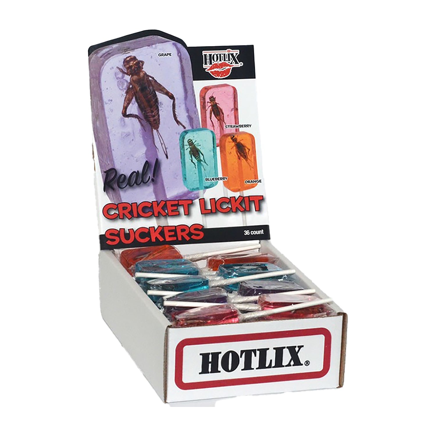 Hotlix Edible Cricket Lollipops - Assorted Flavors, 1oz (36 Count) - Unique Bug Candy for Halloween, Prank Gifts & Adventure Snacks