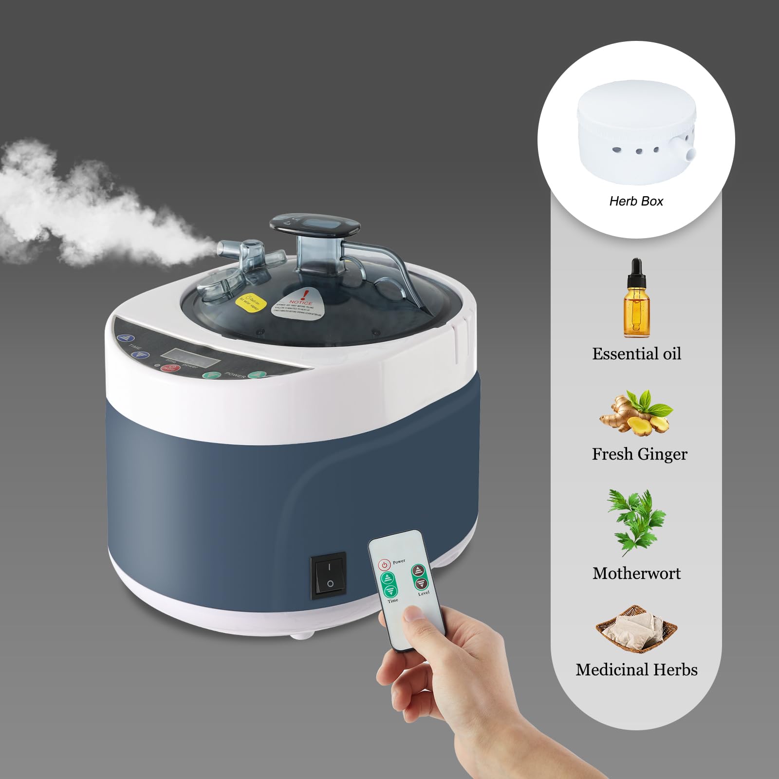 4L Sauna Steamer for Home Spa - 1500W Portable Steam Generator with Stainless Steel Pot, Touch Button, Timer Display & Remote Control - Perfect for Relaxation, Detox & Facial Treatments