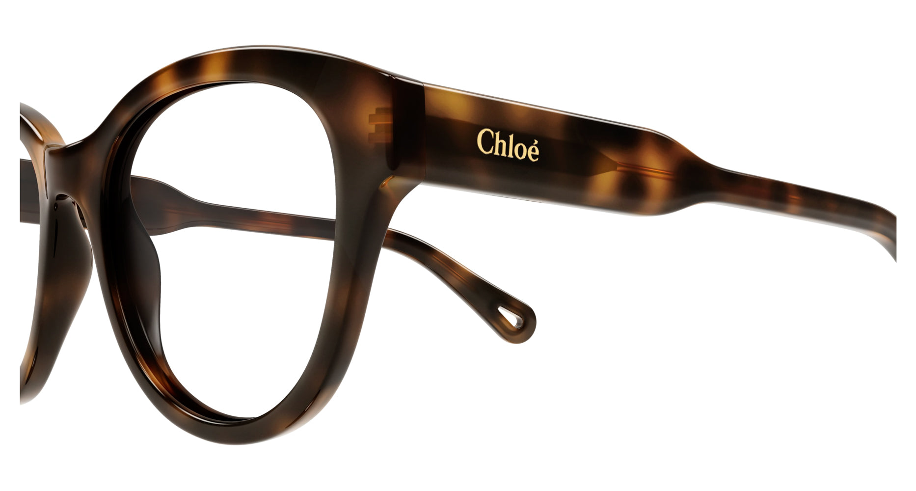 Chloe CH0163O Sunglasses for Women - Classic Aviator Style with UV Protection - Perfect for Driving, Travel & Outdoor Activities