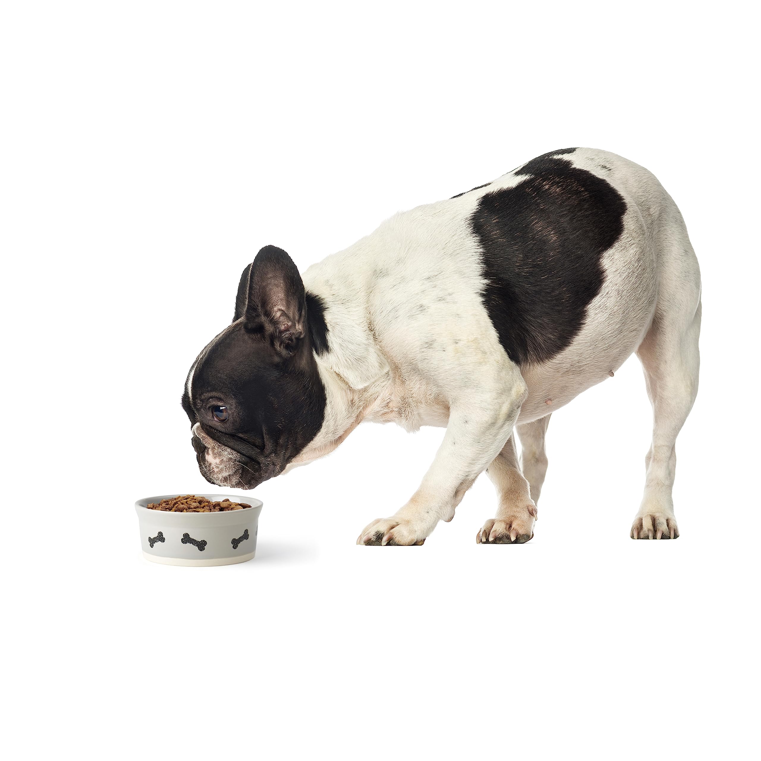 PetRageous 17002 Classy Bones Two-Tone Stoneware Dog Bowl - 1.5-Cup Capacity, 5-Inch Diameter, 2-Inch Tall - Dishwasher Safe for Small Dogs & Cats - Grey - Perfect for Puppies, Kittens & Pet Feeding Stations