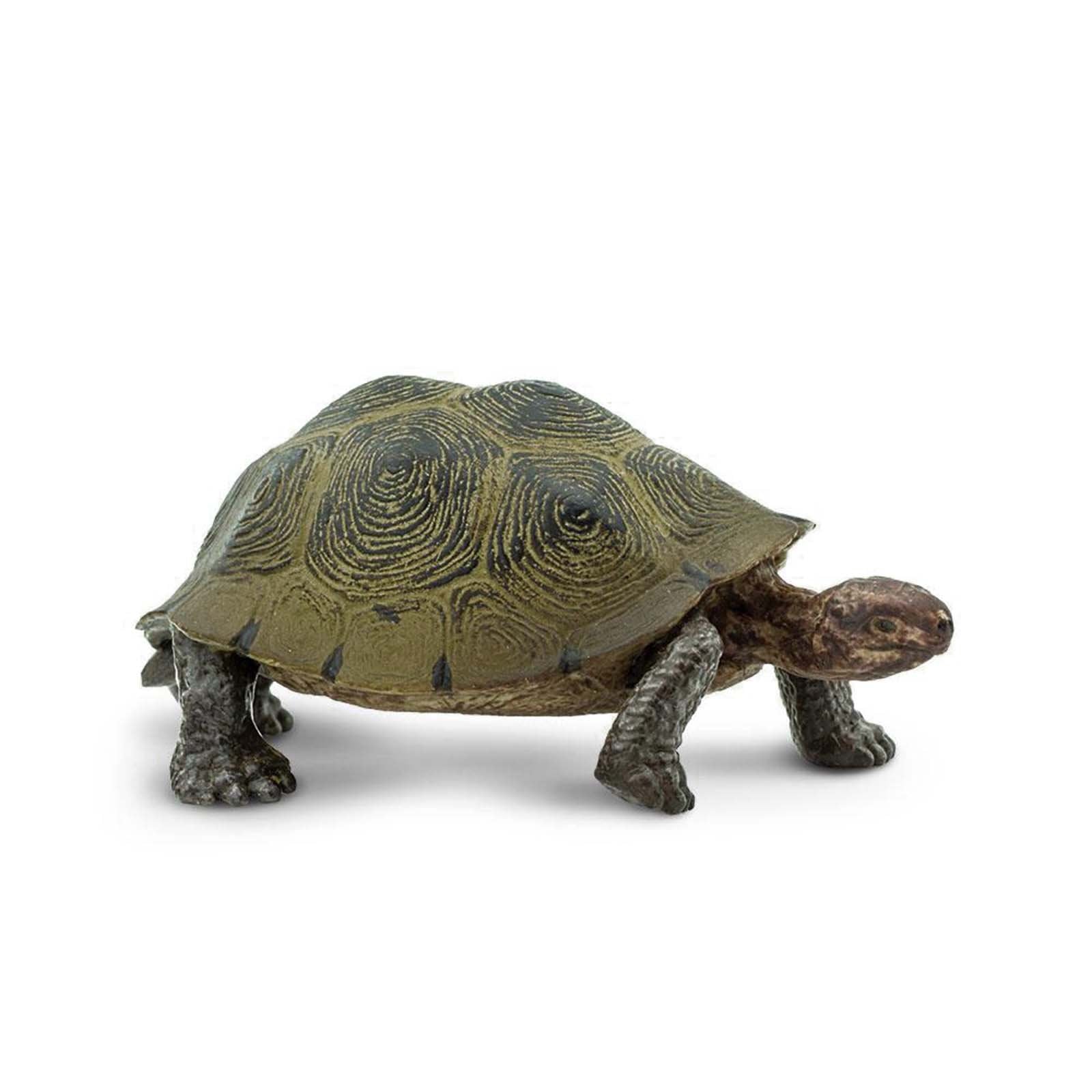 Desert Tortoise Wild Safari Animal Figure - Realistic Toy Tortoise for Kids & Collectors - Perfect for Educational Play, Nature Exploration & Safari Themed Decor