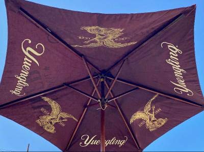 Yuengling Lager Beer - 7 Pack for Patio, Beach, Pool Parties | Refreshing American Craft Lager for Outdoor Gatherings & Summer BBQs