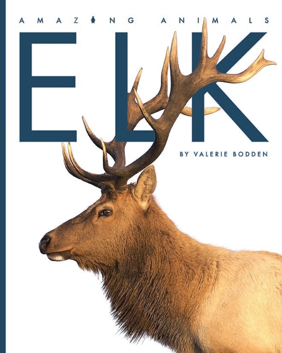 Amazing Animals (2014): Elk - Wildlife Documentary Film for Nature Lovers | Perfect for Educational Use & Home Entertainment