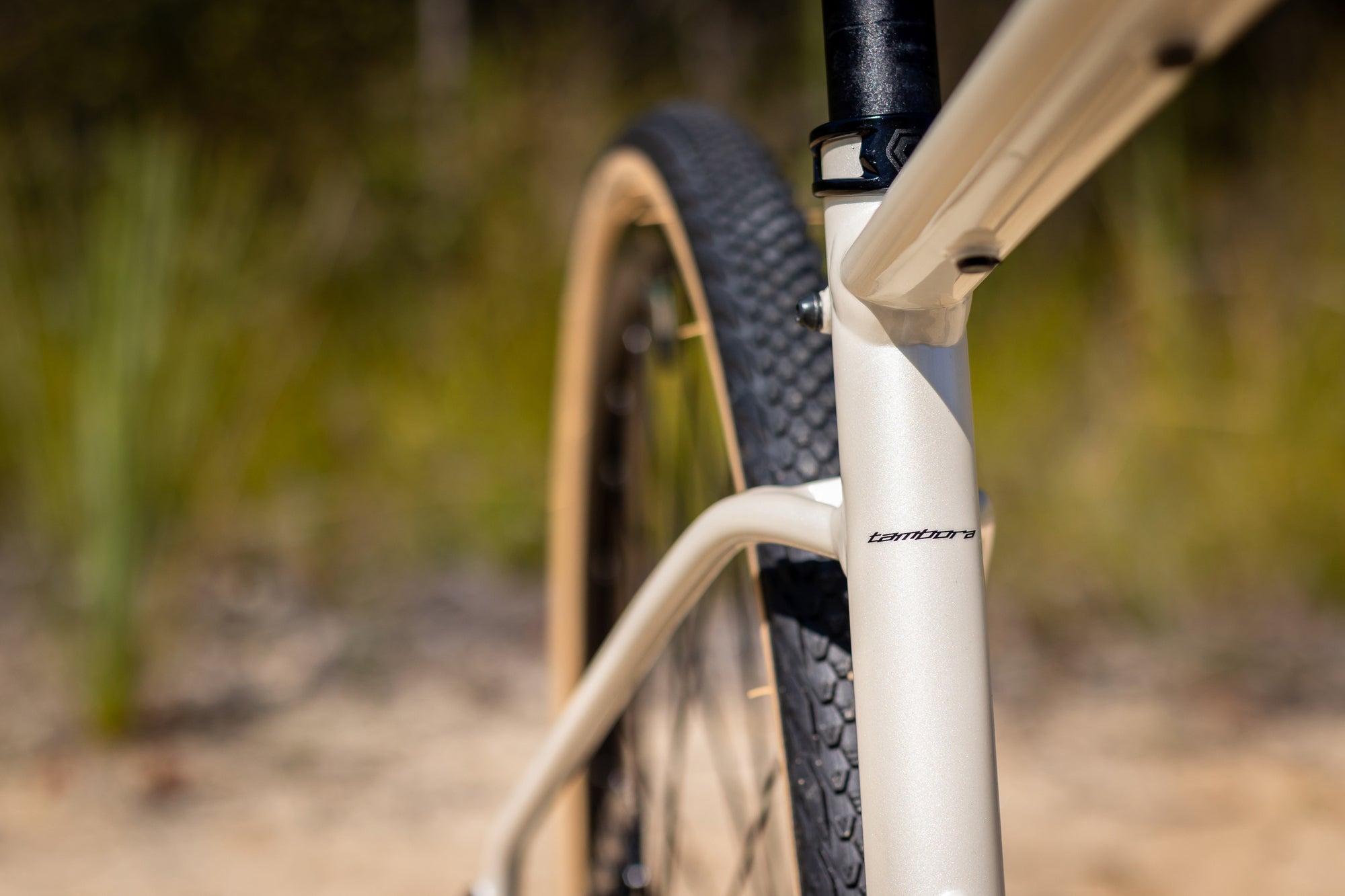 Polygon Tambora G4 Gravel Bike - Lightweight Aluminum Frame, Disc Brakes, Versatile for Road & Off-Road Cycling - Perfect for Adventure Rides, Commuting & Fitness Training