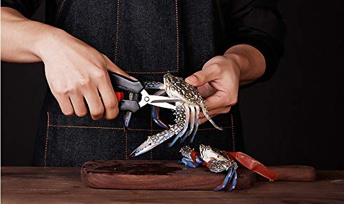 Premium Stainless Steel Seafood Scissors & Lobster Forks Set (8PCS) - Heavy Duty Crab Shell Crackers, Shrimp Scissors for Seafood Lovers - Perfect for Crab Legs, Lobster Tails, Shellfish & Seafood Parties