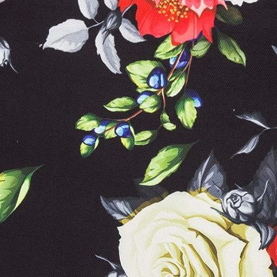 Colorful Rose