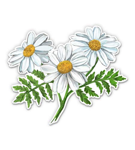 Pretty Wild Daisies 5-Inch Vinyl Sticker - Waterproof Decal for Car, Laptop, iPad - Perfect for Personalizing Devices & Home Decor