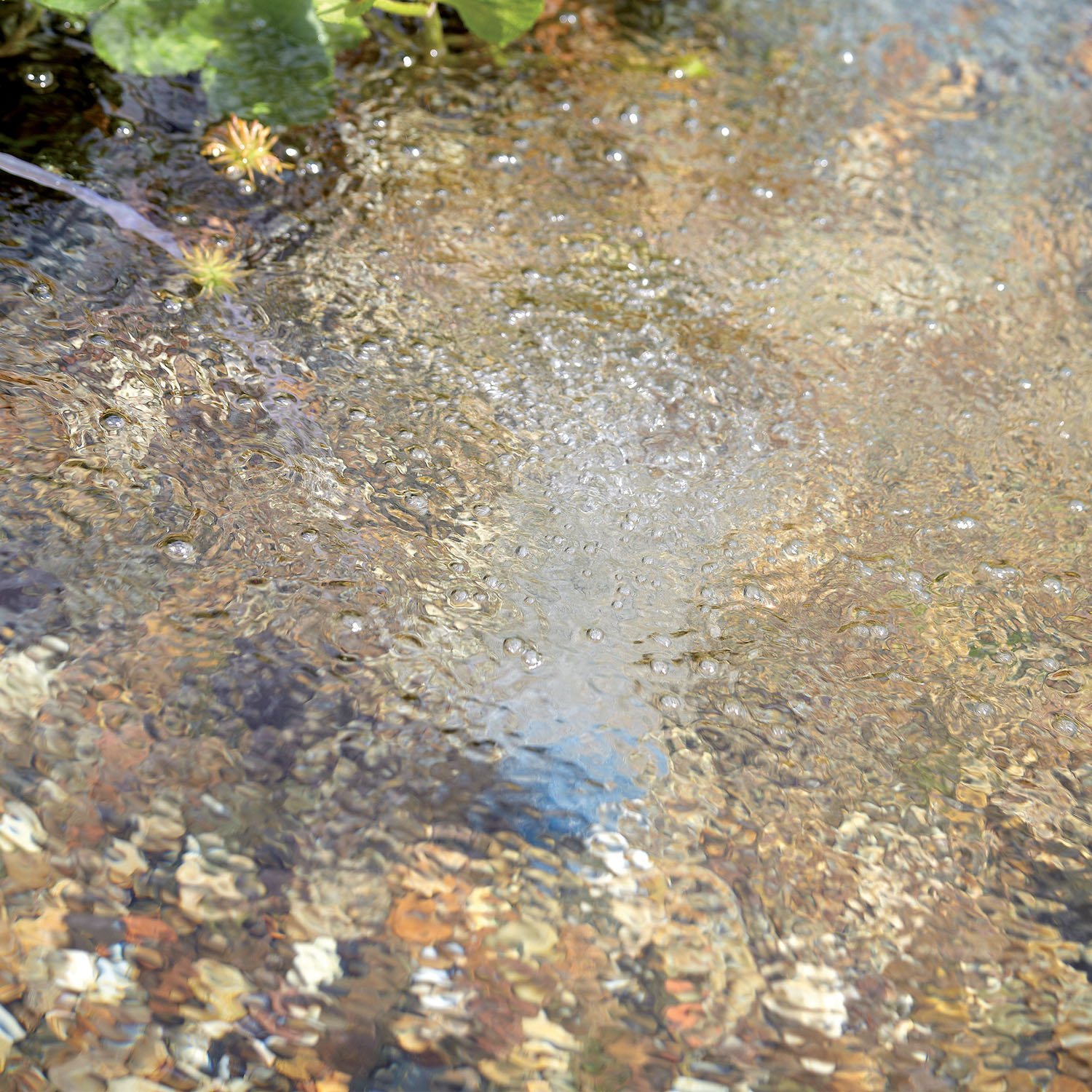 OASE Aquaoxy Air Injector Pump - High-Efficiency Oxygenation for Ponds & Water Features | Perfect for Koi Ponds, Garden Fountains & Aquatic Ecosystems