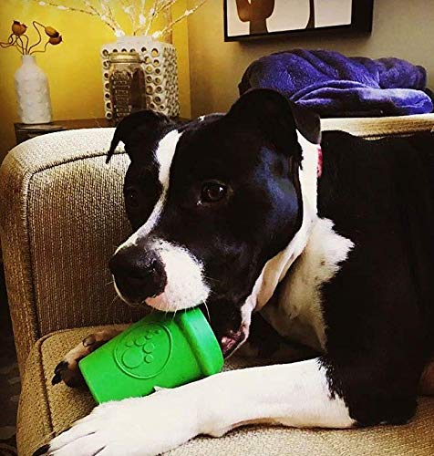 SodaPup Coffee Cup Dog Chew Toy – Non-Toxic Natural Rubber Treat Dispenser for Mental Stimulation & Anxiety Relief – Durable USA-Made Pet Safe Chewing Toy for Small & Medium Dogs – Perfect for Playtime, Training & Stress Relief