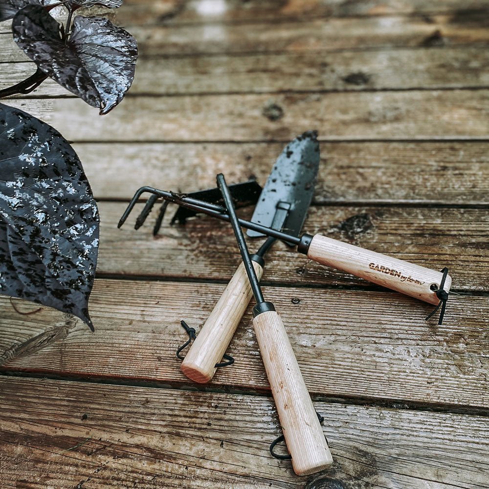 Premium Garden Hand Tool Set - 5-Piece Stainless Steel Gardening Kit with Ergonomic Handles for Planting, Weeding, and Digging - Perfect for Home Gardeners, Landscaping, and Outdoor DIY Projects