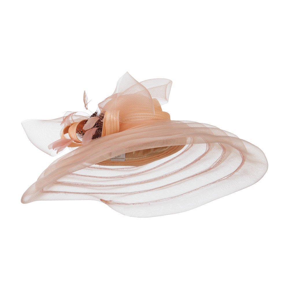 Elegant Taffeta Braid Horse Hair Organza Hat for Women - Perfect for Weddings, Parties & Special Occasions