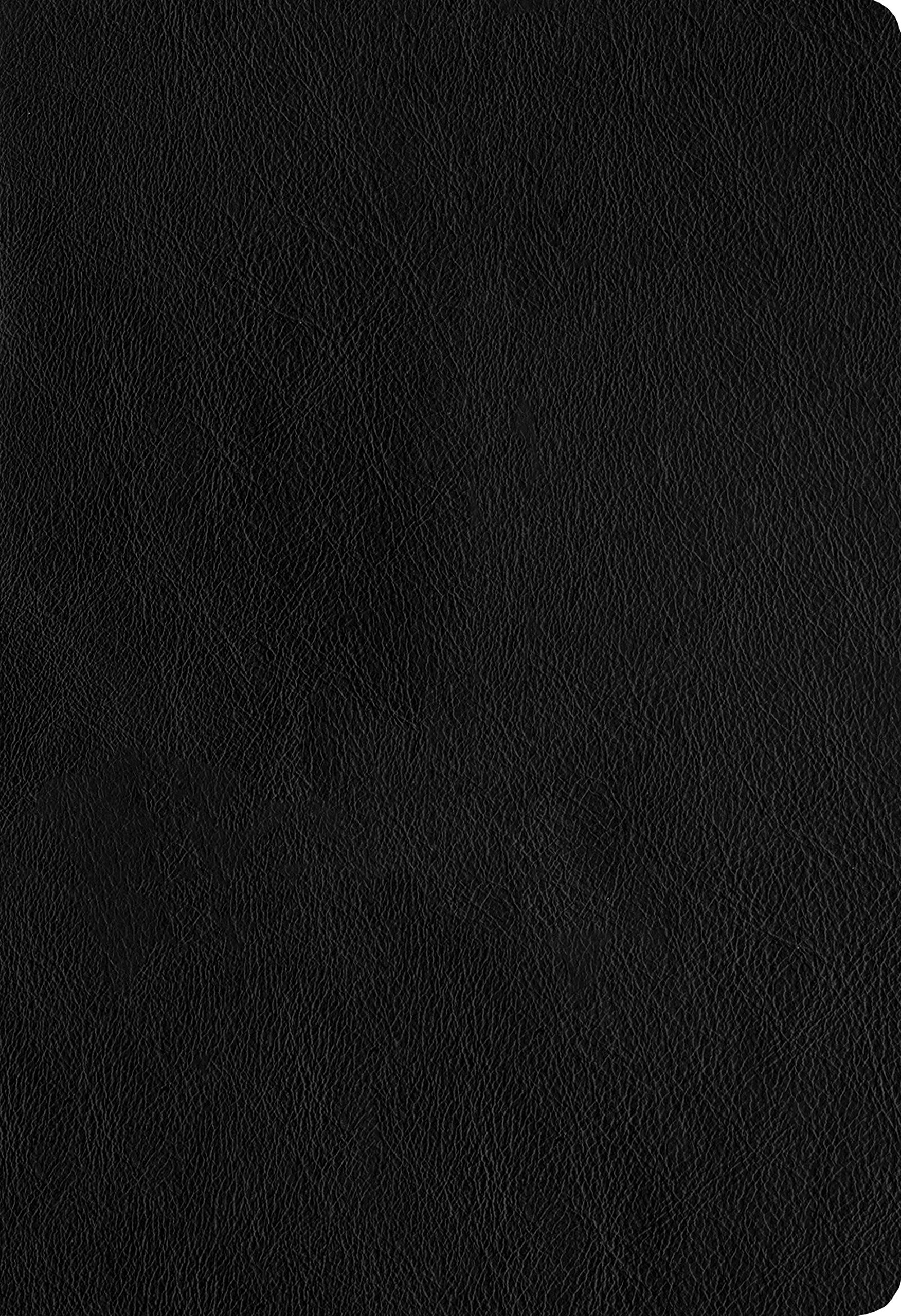 Large Print Thinline Bible - Genuine Leather, Indexed for Easy Reading & Study