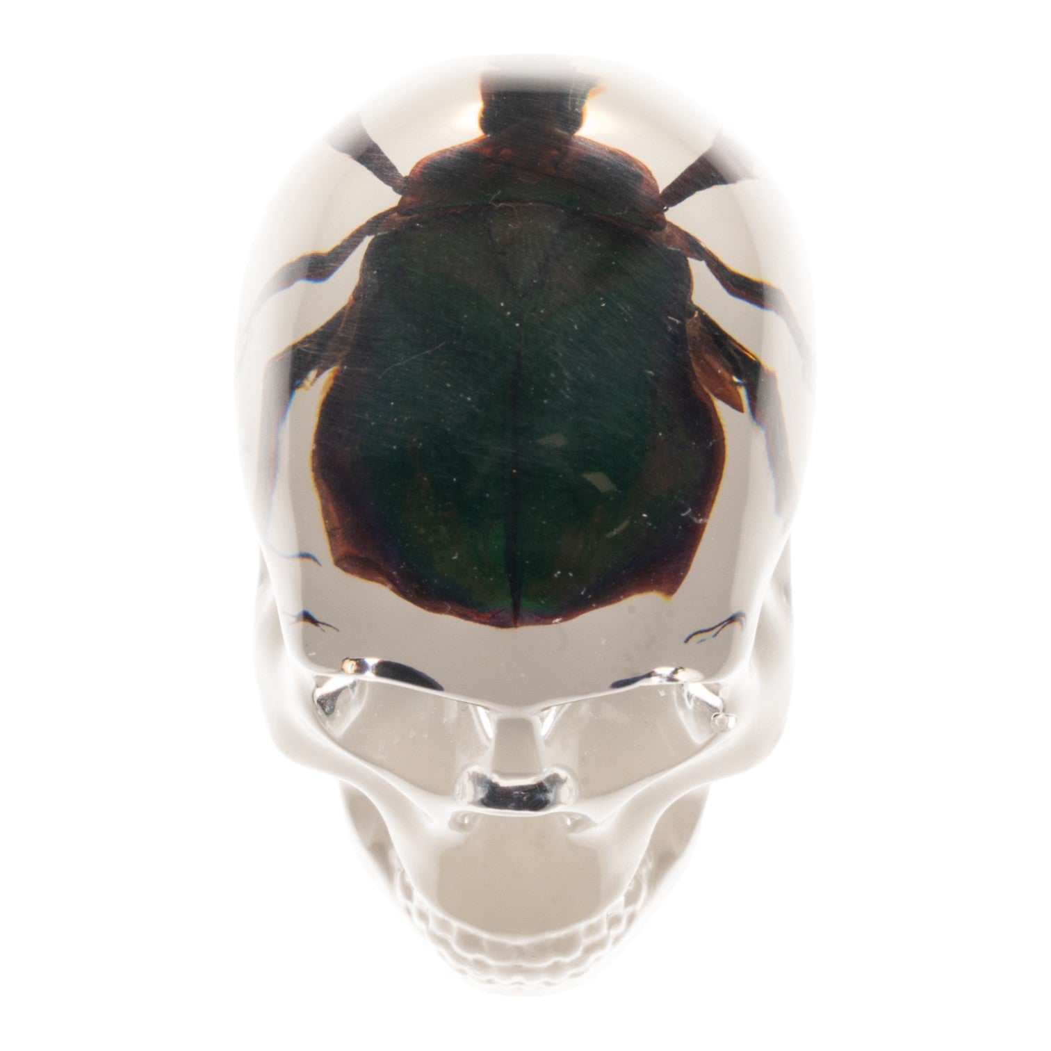 Real Green Rose Chafer Beetle Encased in Clear Acrylic Skull-Shaped Refrigerator Magnet - Unique Gothic Home Decor for Kitchen, Office & Dorm Room