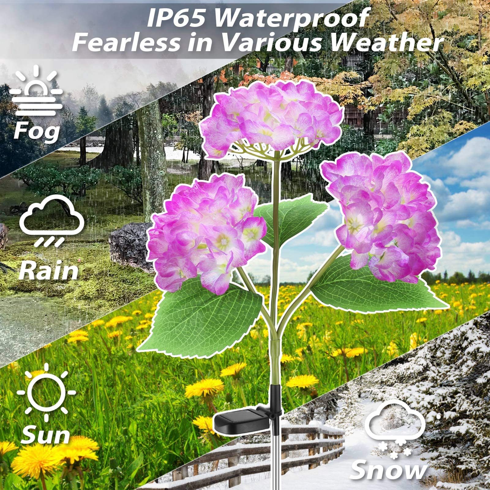 TYNLED 2 Pack Solar Powered Outdoor Hydrangea Garden Stake Lights - Waterproof Realistic LED Flower Lights for Lawn, Patio, Backyard & Pathway Decor (Purple) | Perfect for Evening Garden Ambiance & Landscape Lighting