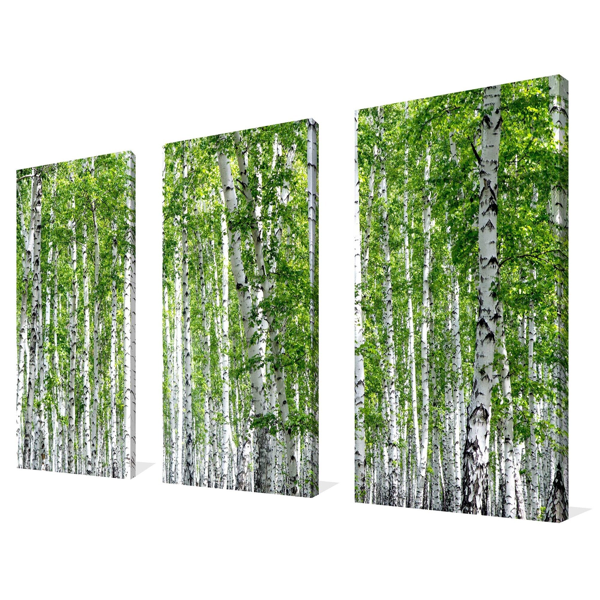 Birch Trees III 3-Piece Canvas Wall Art Set - Nature Inspired Decor for Living Room, Bedroom & Office