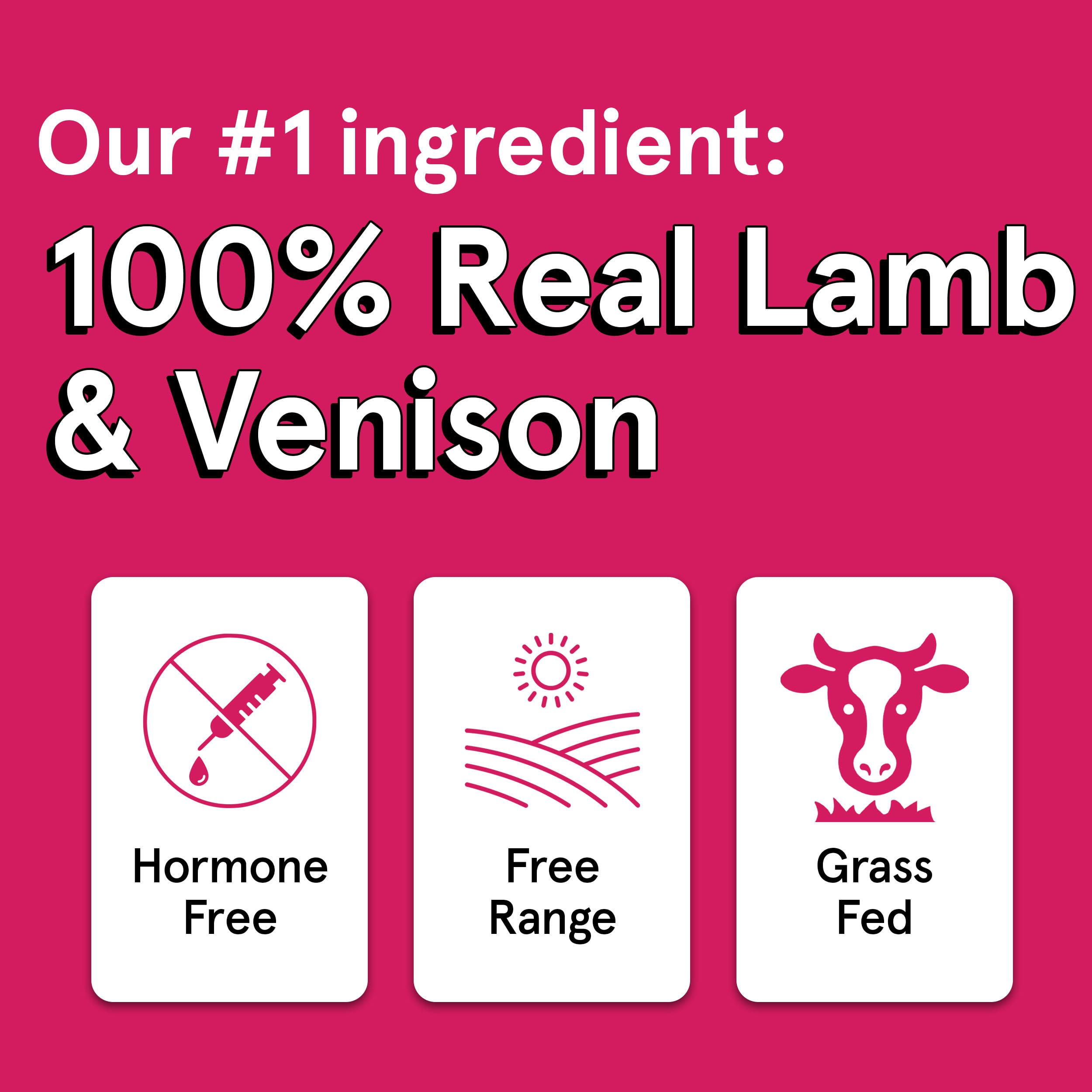 Premium Grain-Free Dog Treats - 12oz Air-Dried Lamb & Venison Jerky for Dogs | 95% Human-Grade, Free-Range, Grass-Fed Meat | All-Natural Training Snacks for Small, Medium & Large Dogs | Perfect for Training, Rewards & Outdoor Adventures