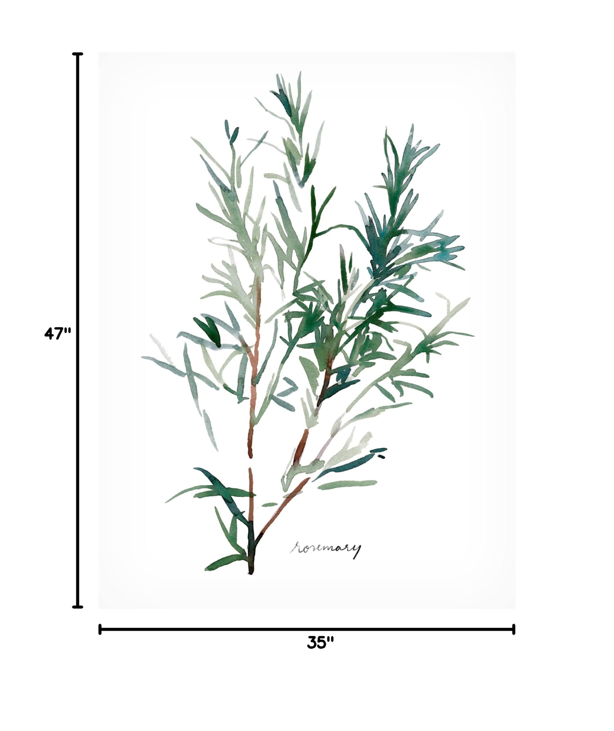 Emma Scarvey Herb Garden Sketches IV Canvas Art Print - Botanical Wall Decor for Living Room, Kitchen & Office - Trademark Fine Art Collection