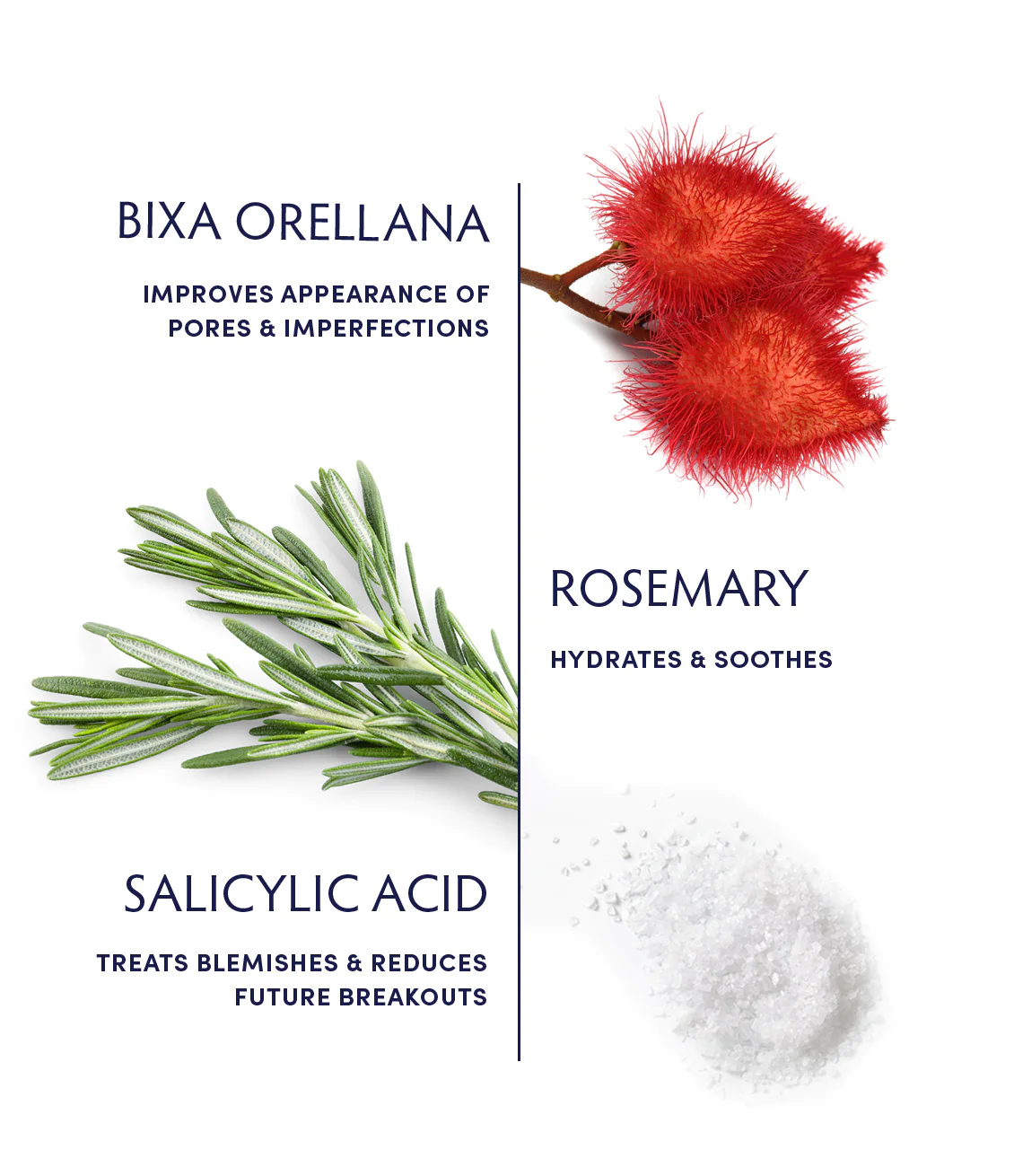 Naturopathica Rosemary & Salicylic Acid Acne Clearing Moisturizer - Oil-Free Face Cream for Acne-Prone Skin, Reduces Breakouts & Blemishes - Perfect for Daily Skincare Routine & Oily Skin Care