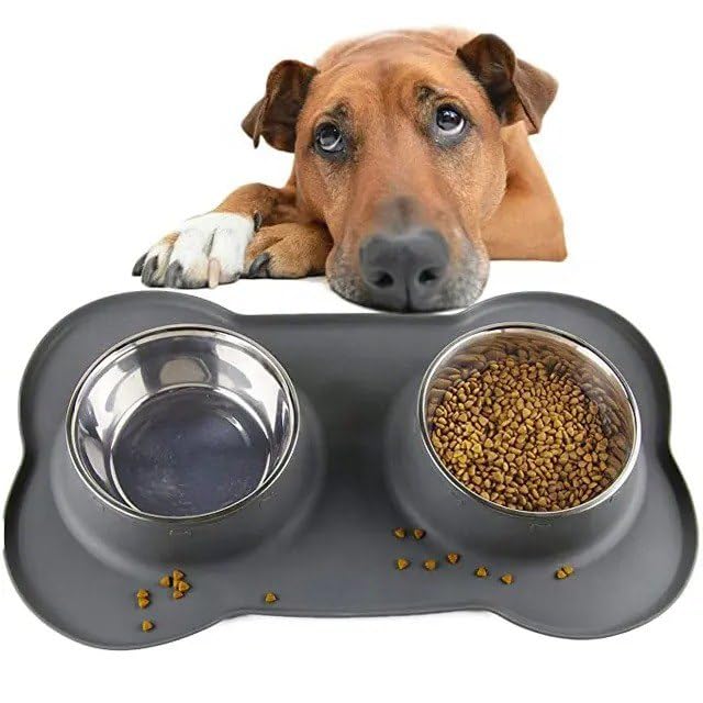 TERXA Non-Slip Pet Bowl Set - Stainless Steel Food & Water Dish for Dogs & Cats - Home & Travel Use