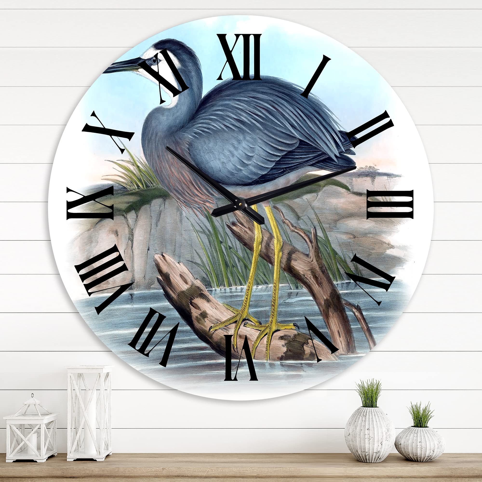 Vintage Australian Birds II Wall Clock - Large Traditional Wall Clock with Nature Landscape Design for Bedroom, Living Room, Office Decor | Perfect Home & Office Decoration Gift