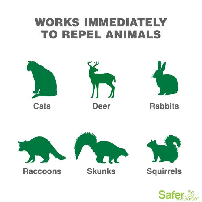 24 oz Ready-to-Use Garden Animal Repellent Spray - Natural Pest Control for Deer, Rabbits & Squirrels - Protect Flowers, Vegetables & Plants Outdoor