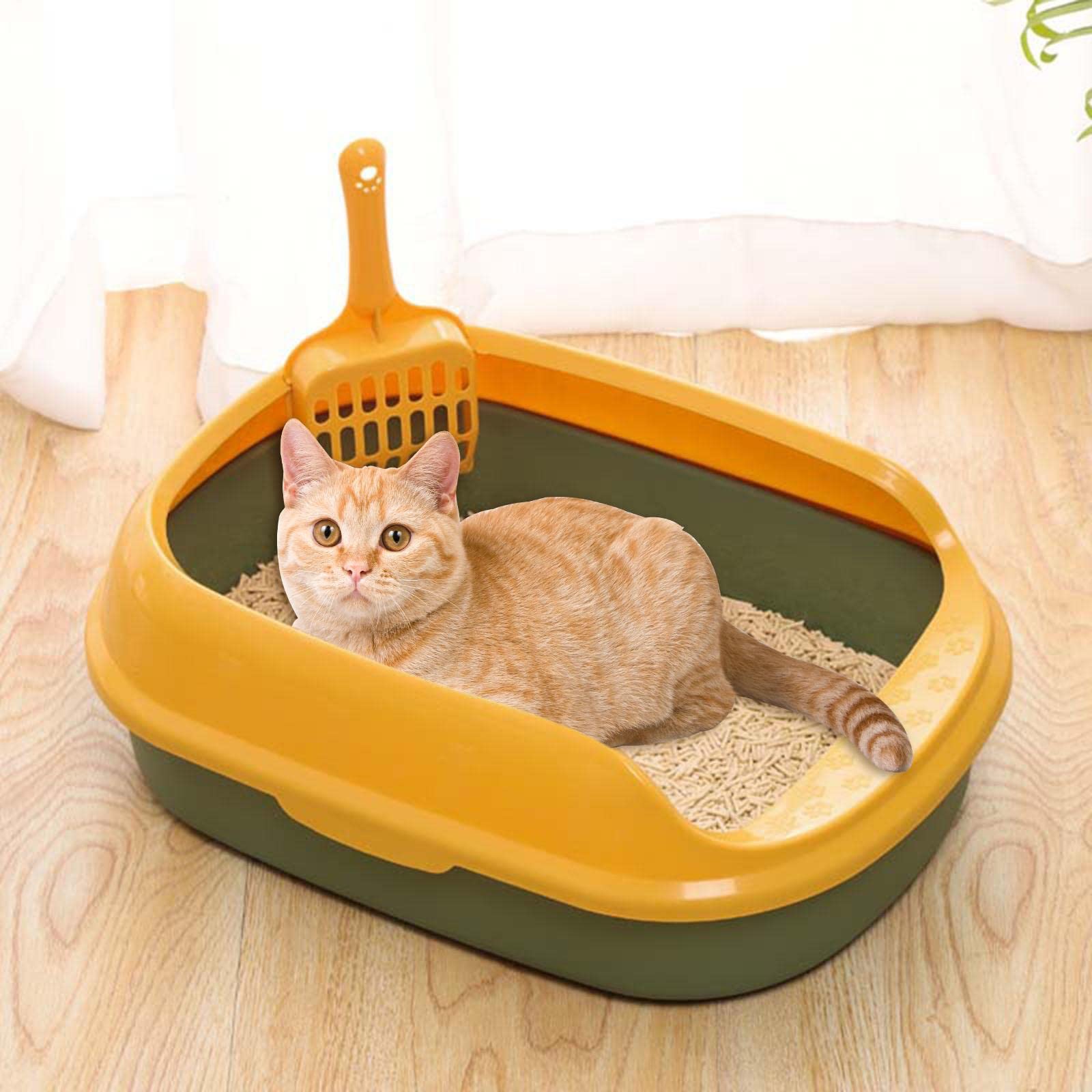 Eco-Friendly Detachable Cat Litter Box with Removable Rim - Portable PP Plastic Litter Tray for Kittens & Adult Cats - Perfect for Home, Travel & Small Spaces (Green)