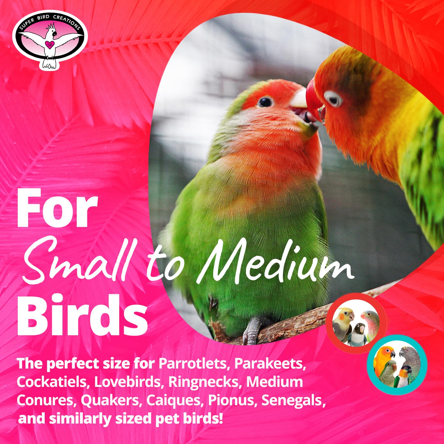 Super Bird Creations SB1199 Sola Balsa Stack Bird Toy - Natural Wooden Bird Enrichment Toys for Small & Medium Birds | Perfect for Parakeets & Cockatiels | Cage Play & Foraging Activity | Stimulating Chewing & Climbing Fun for Pet Birds